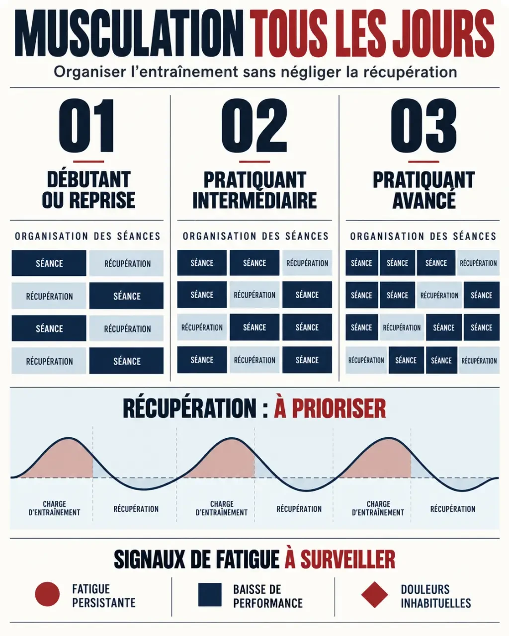 Infographie sur la musculation tous les jours selon le niveau et la récupération